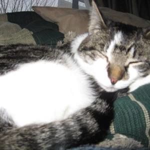 Meet your Posher, Jackie